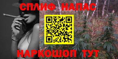 винт Будённовск