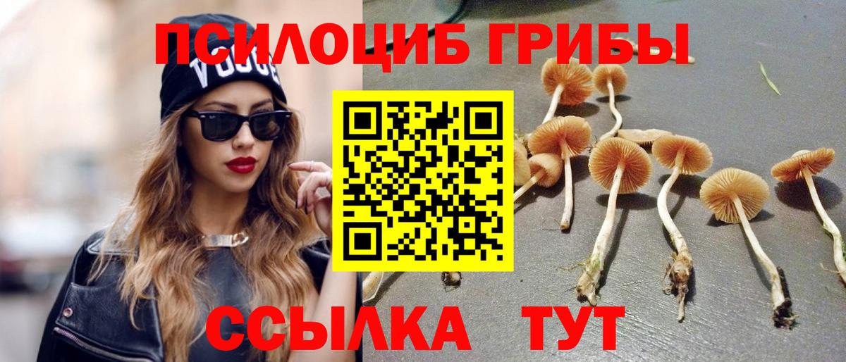 Псилоцибиновые грибы MAGIC MUSHROOMS Переславль-Залесский