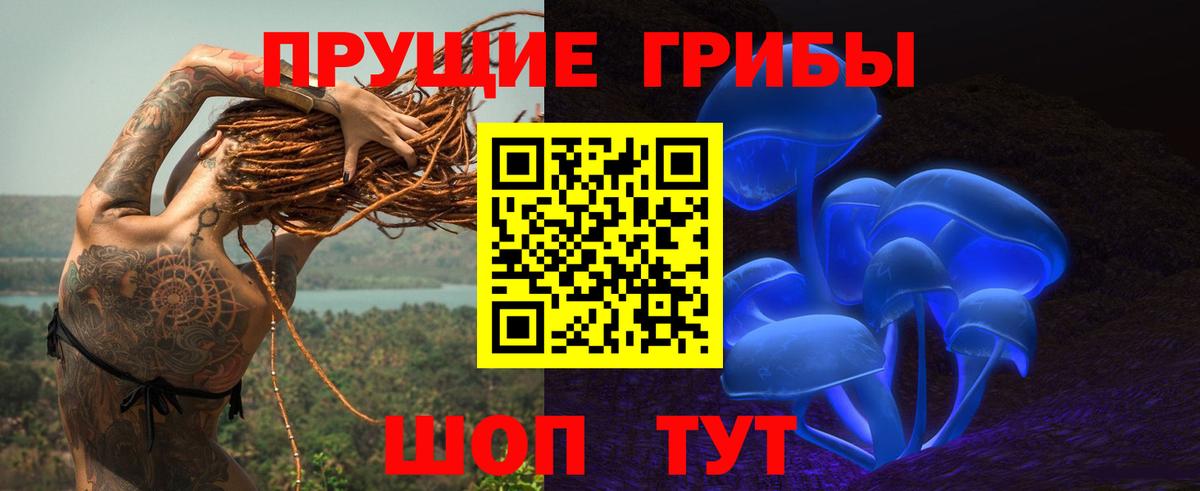 Переславль-Залесский  Псилоцибиновые грибы Psilocybe  Вход с VPN 